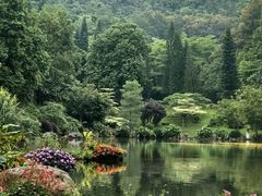-深圳仙湖植物园