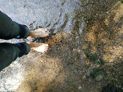 -白水寺森林公园