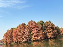 -尚湖风景区