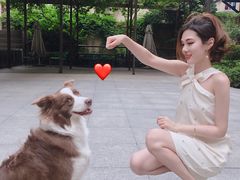 -嘉善老市