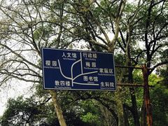-武汉大学-樱园