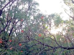 android_upload_pic-南沙天后宫景区