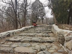 -阳台山自然风景区