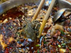 芋儿鸡-黑竹香鸡(营和巷店)