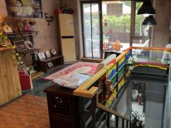 点击看大图 -十月贝贝百天照儿童摄影