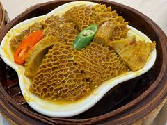 酱皇金钱肚-益健美食大广场(北岭店)