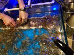 -星伦多自助料理·涮烤一体(嘉兴八佰伴店)