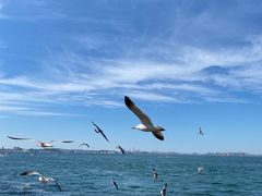 -大连海昌东方水城