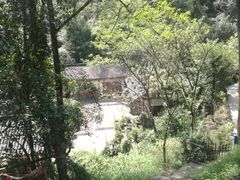 -南山植物园