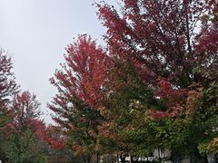 -沈阳市东陵公园