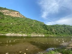 -白河湾生态旅游一条川