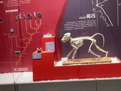 -国家自然博物馆