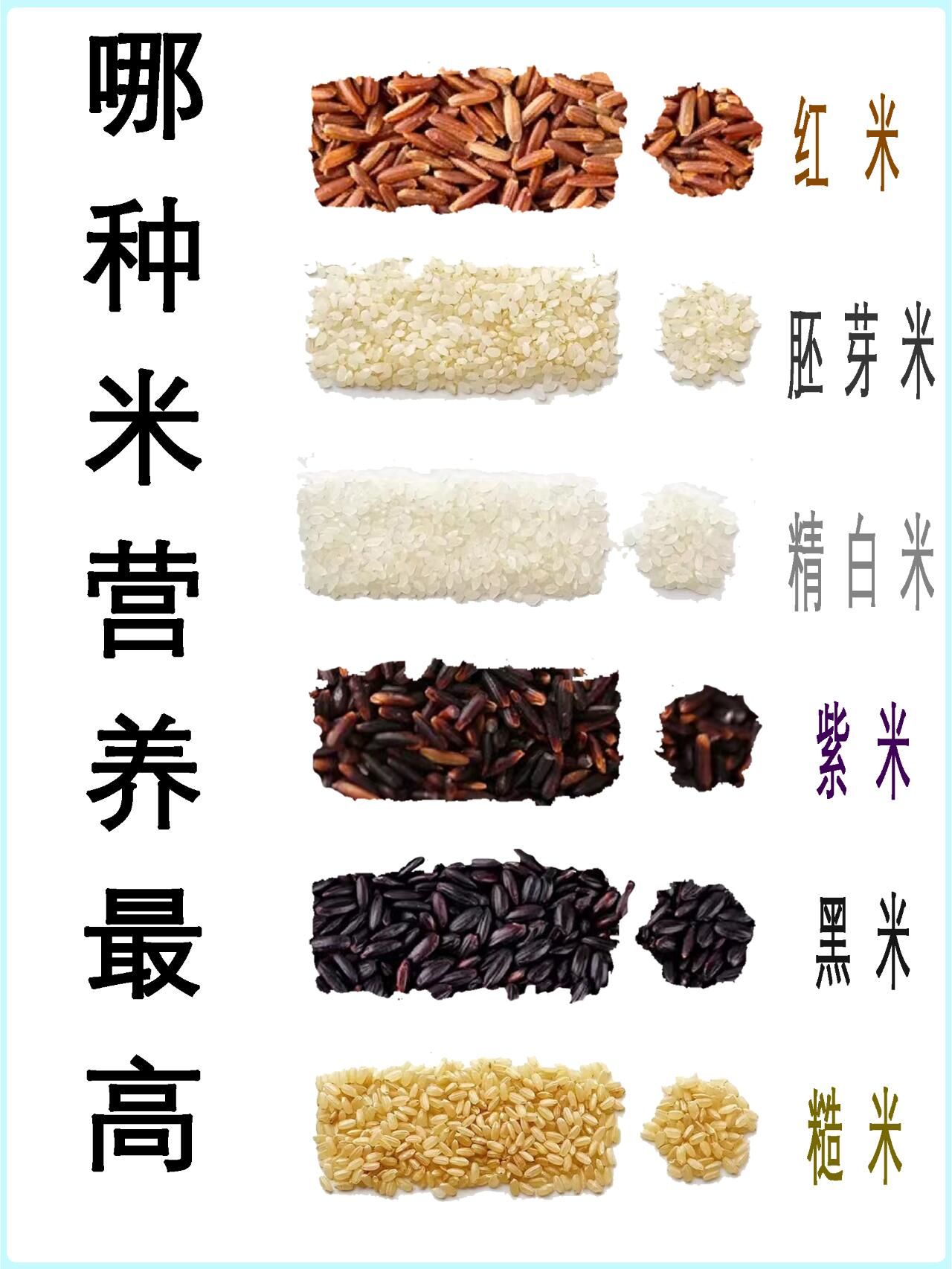 五彩斑斓的大米究竟哪种营养成分最高呢?