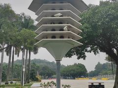 -顺峰山公园