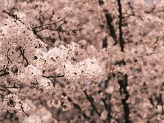 -龙美术馆(西岸馆)