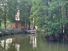 -星湖旅游景区七星岩