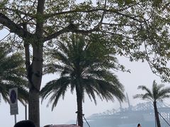 -旺富东海大酒楼(海鲜街店)