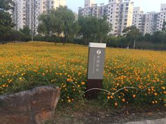 -大宁灵石公园西门票处