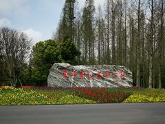 -东平国家森林公园