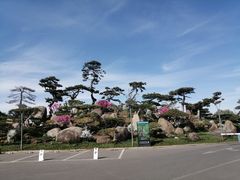 -罗红摄影艺术馆