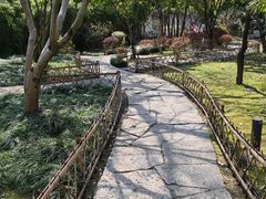 -绍兴古城