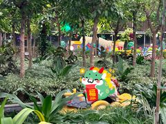 -南宫五洲植物乐园