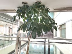 -北京市朝阳区妇幼保健院(南院区)