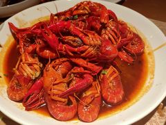 -京B·东篱精酿啤酒音乐餐厅