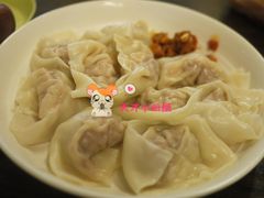 虾仁鲜肉馄饨-巧云大馄饨(南阴阳营总店)