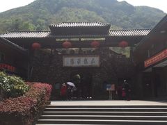 景点-藏龙百瀑风景区