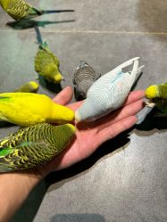 -酷嗒动物文化乐园(cutezoo西溪乐天城店)