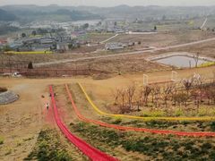 -绵阳盛世樱花悠乐谷