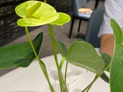 -眉州东坡(清河万象汇店)