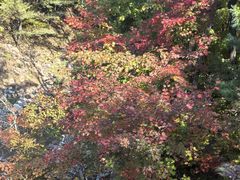 -本溪老边沟风景区