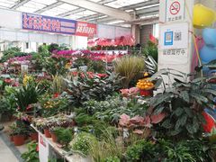 -李村大集