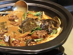 野生甲鱼-茶叁酒肆·楚味江湖(菱角湖店)