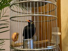 -杭州香格里拉·香宫中餐厅