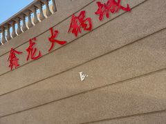 -鑫龙火锅城(青岛分店)