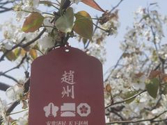 -赵州桥景区