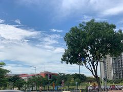 -鲜芋仙(番禺万达广场店)