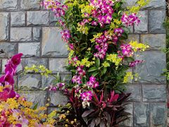 -北京植物园-展览温室