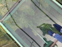 -陶祖圣境风景区