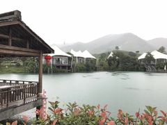 -帐篷客·溪龙茶谷度假酒店