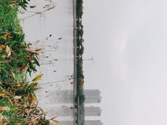-映月湖中央公园