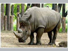 -西安秦岭野生动物园