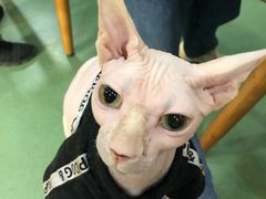 -藦茜花园宠物主题亲子互动体验馆(国顺东路店)