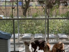 -哈密回王府景区