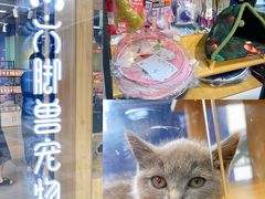 -盒马X会员店(王府井奥莱UP TOWN店)