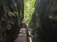 -牛背梁国家森林公园