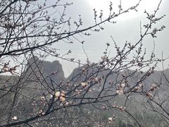 -娲皇宫